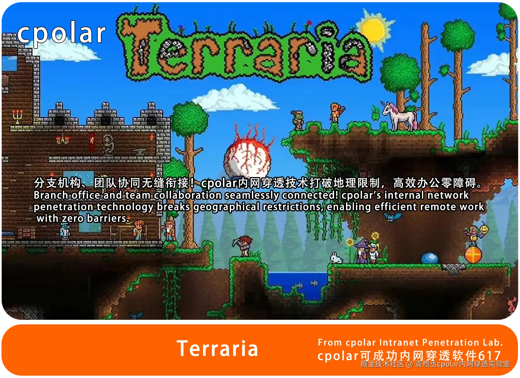 NO.617 Terraria-02.png