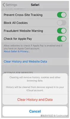 how-to-delete-documents-and-data-on-iphone-safari.jpg