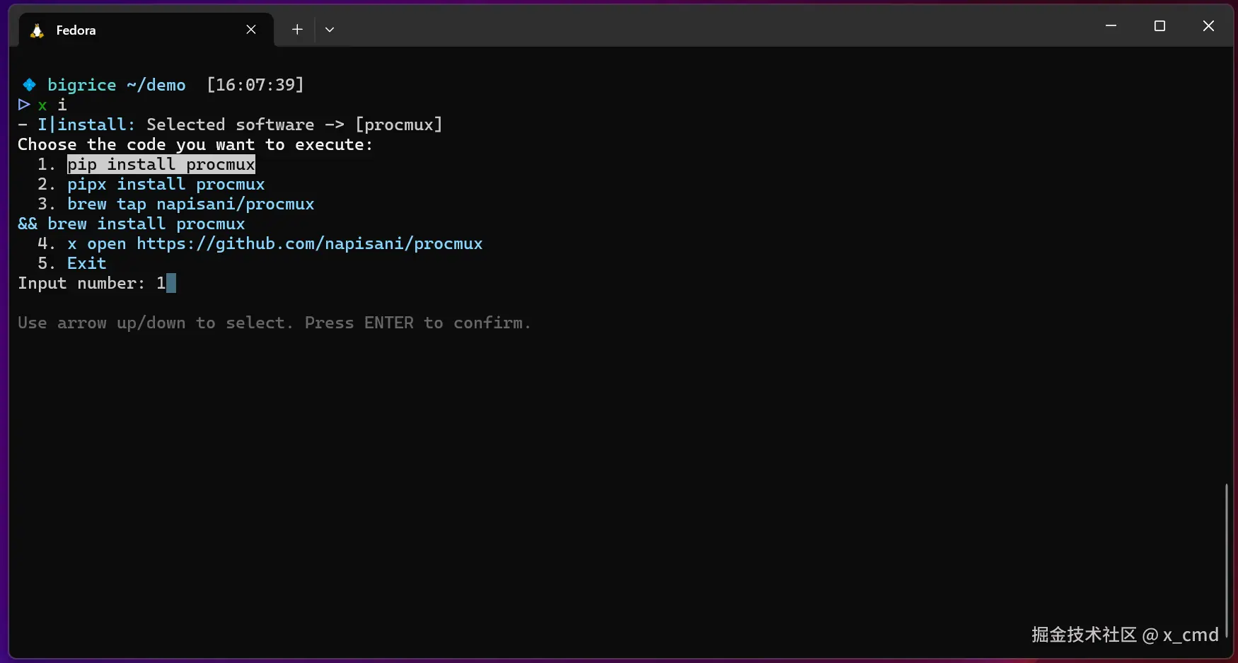 x_i_procmux02.png