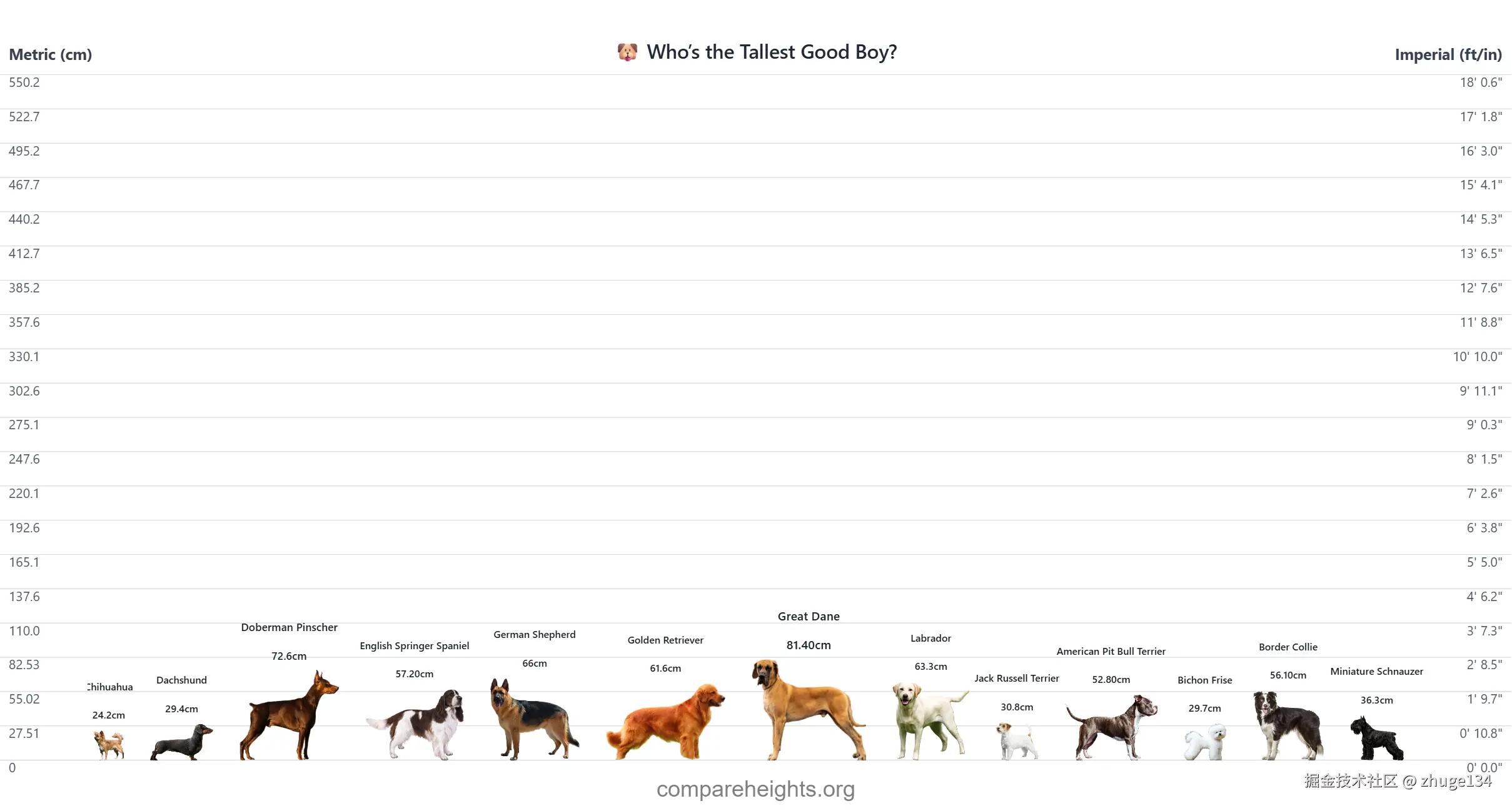 🐶 Who’s the Tallest Good Boy_.png