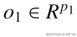 {o}_1\in {R}^{p_1}