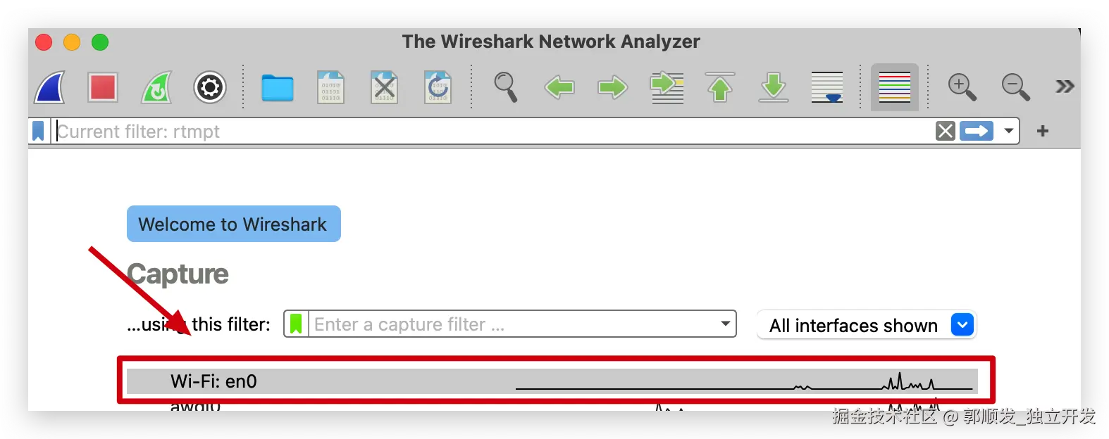 Wireshark抓包界面