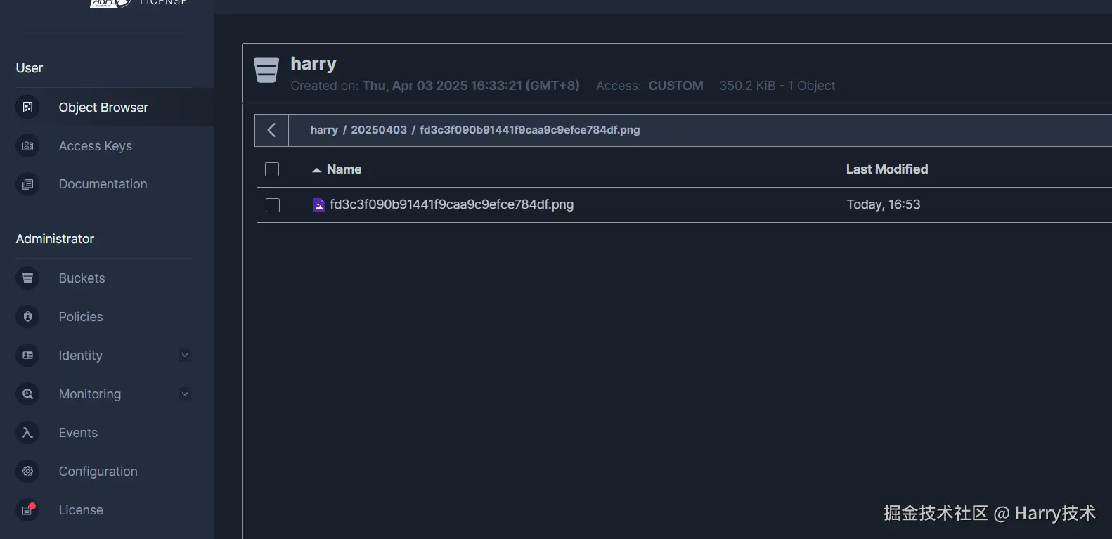 image-20250403165443121