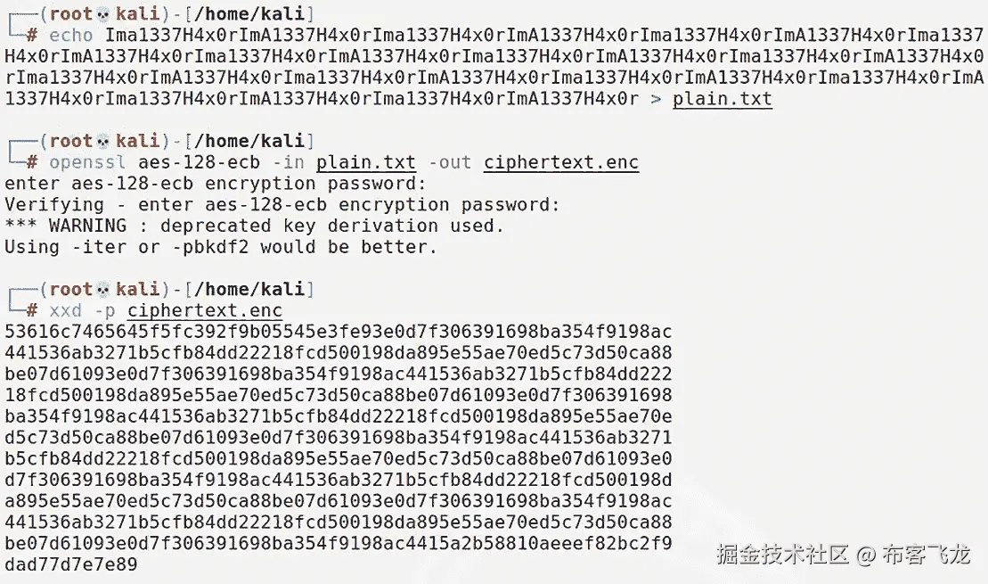 图 6.1 – AES 在 ECB 模式下