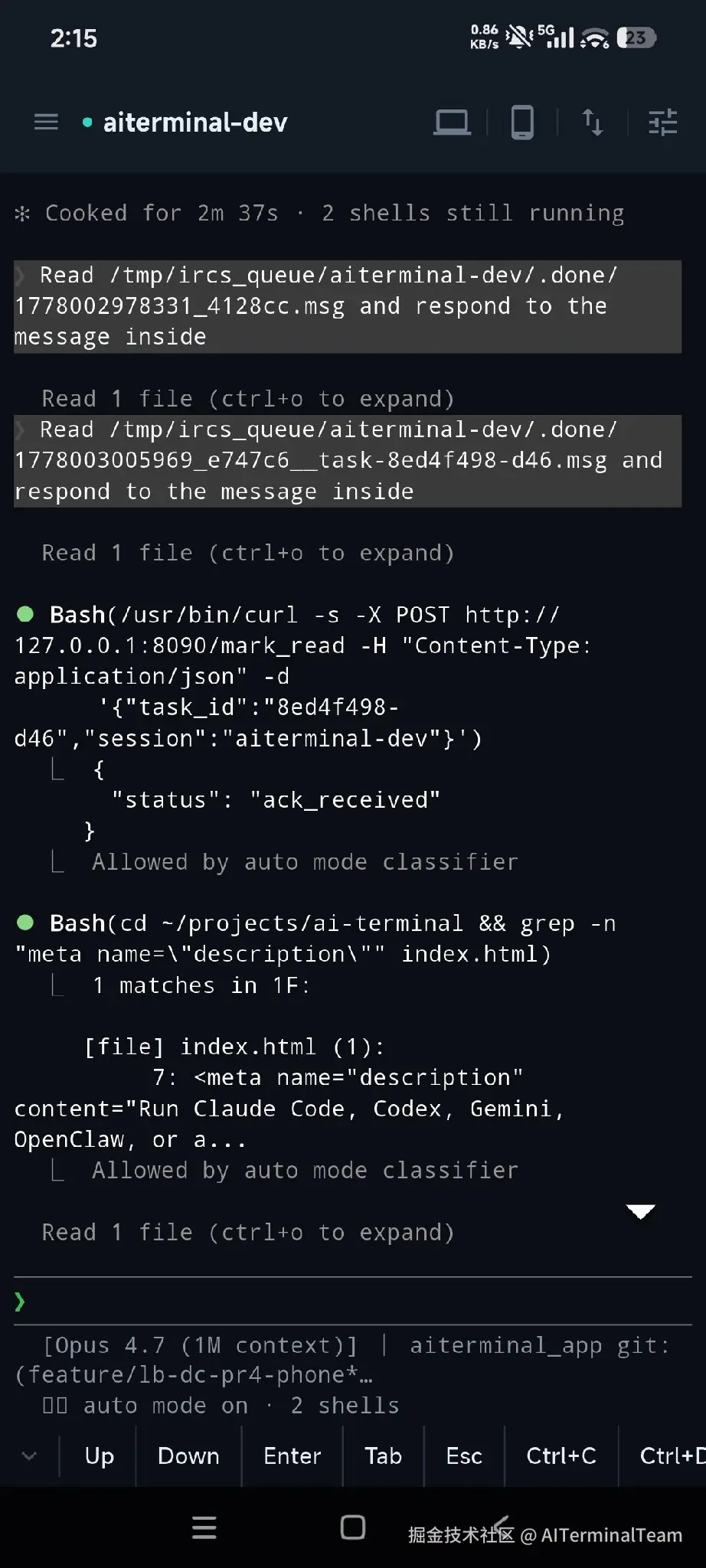 04\_terminal\_running.jpg