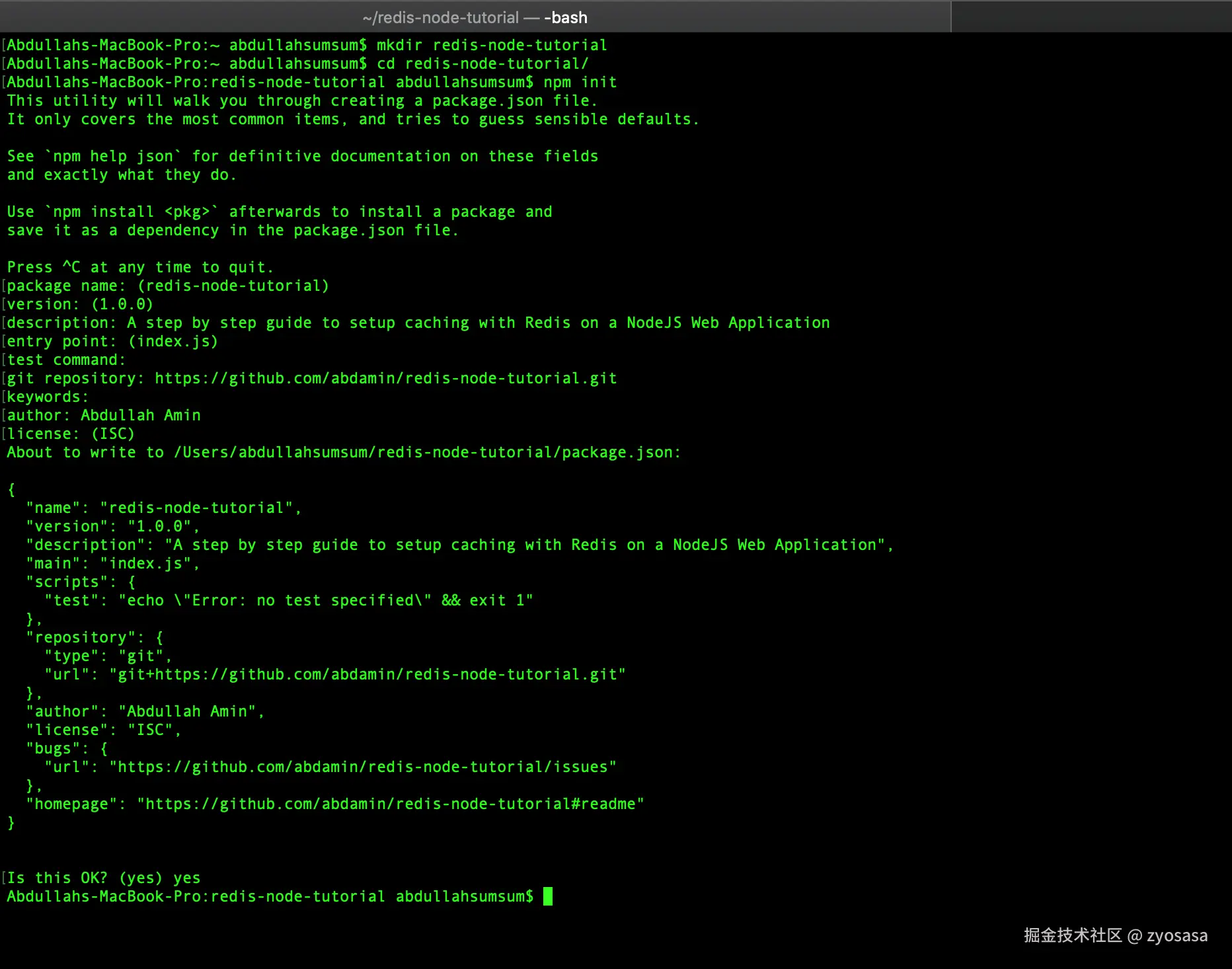 使用 npm init 来构建 NodeJS 应用
