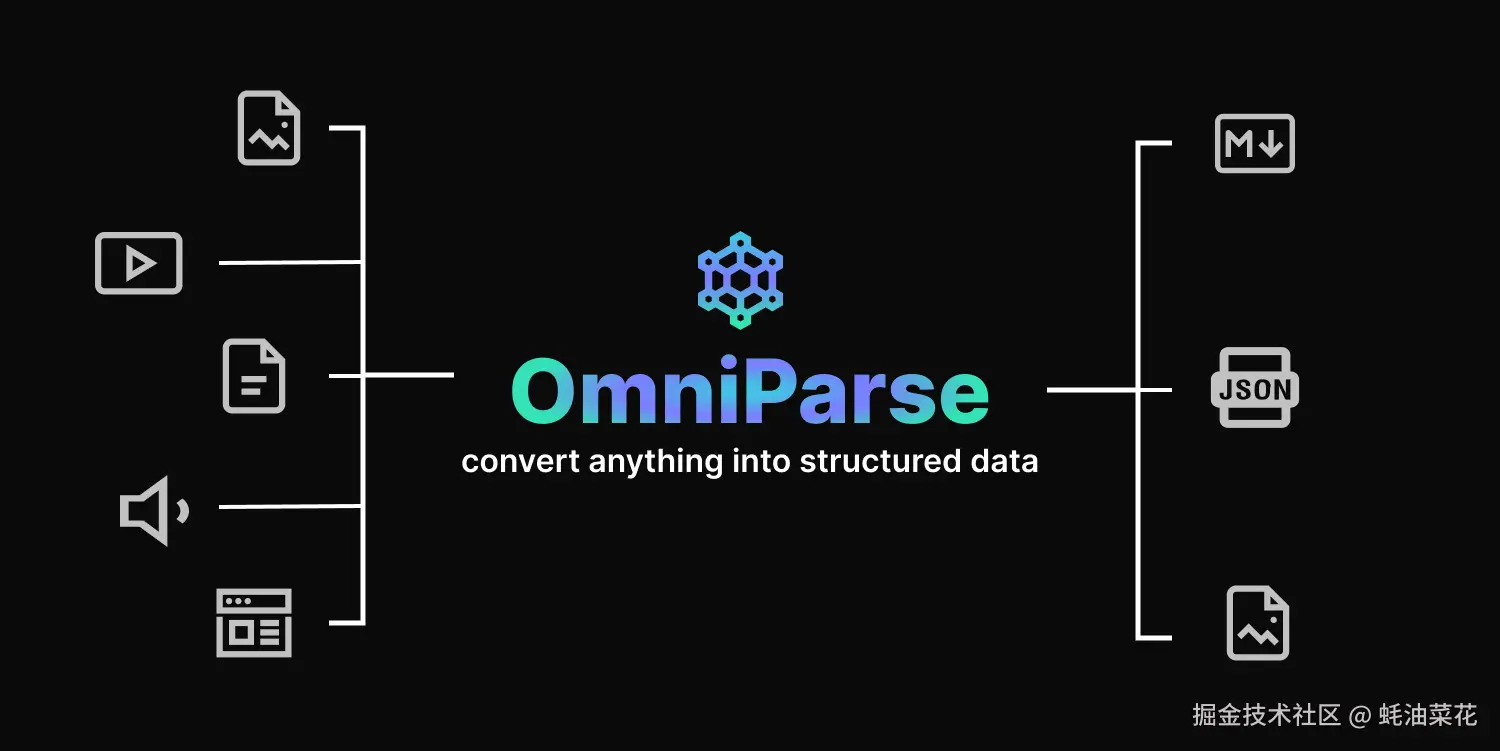 OmniParse