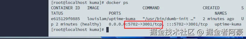 image-20231220165622832