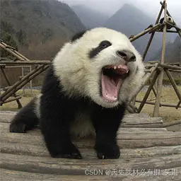 Three.js开发必备：几何顶点UV坐标、纹理贴图详解含素材