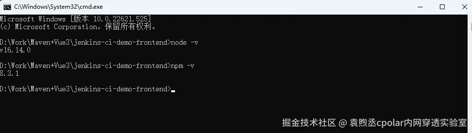 image-20250805095106146