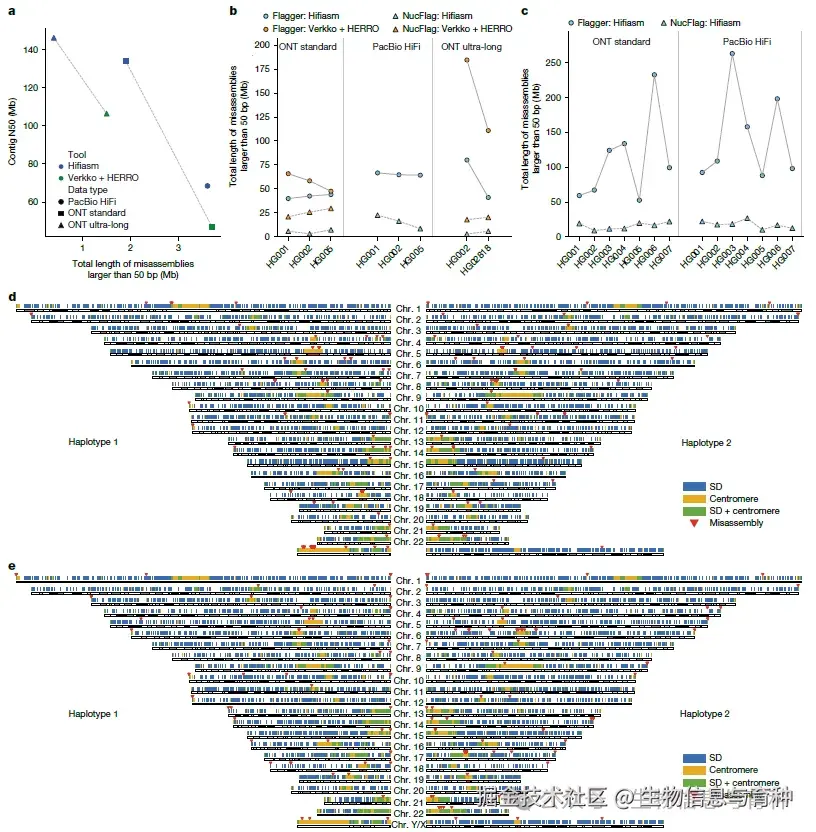 图4 | 人类基因组组装中错误组装的评估