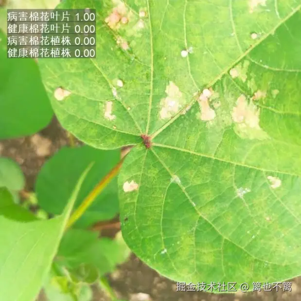 image-20260113011506053