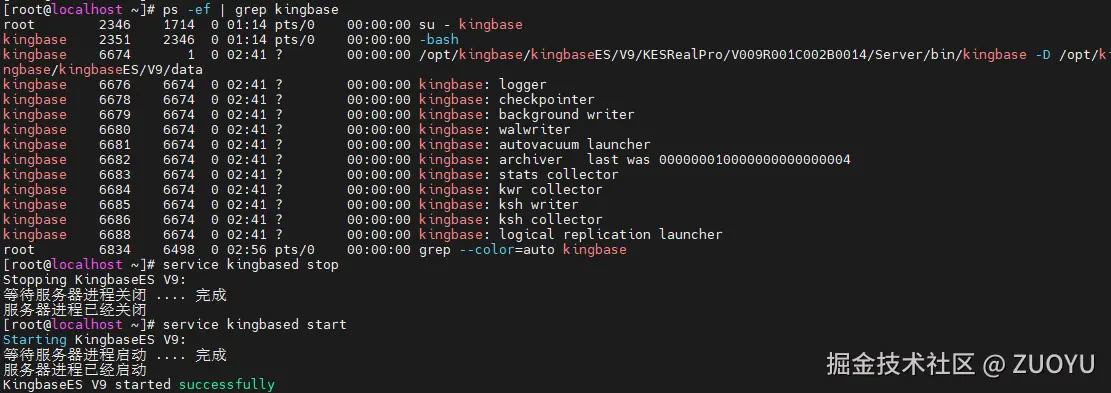 image-20250428030703925