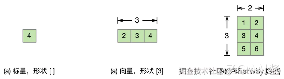 标量、向量与矩阵示例