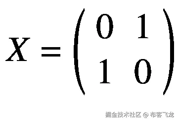 X=\left(\begin{array}{cc}0&amp; 1\\ {}1&amp; 0\end{array}\right)