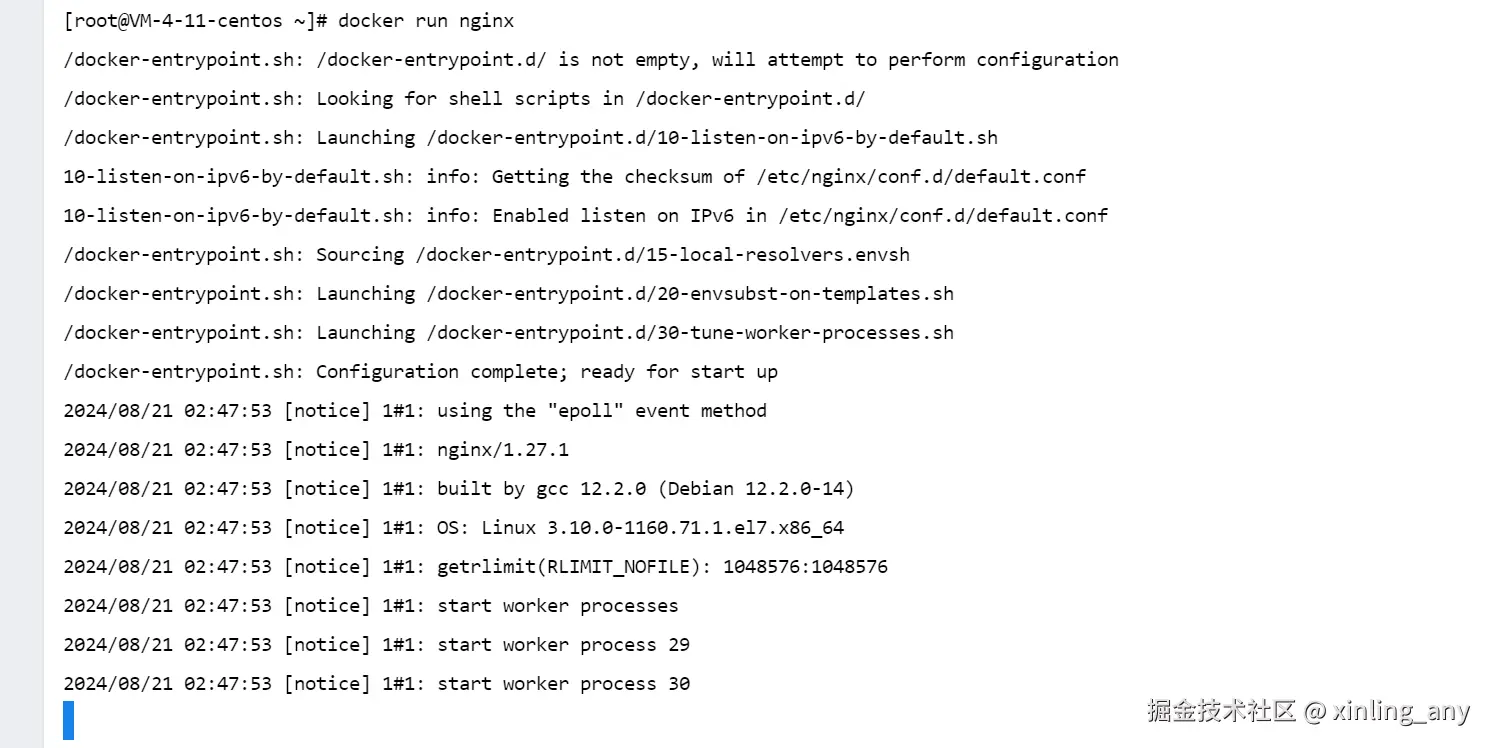 image-20240821104809003