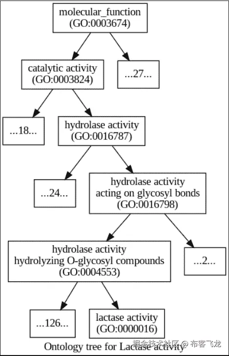 图 5.4 – “乳糖酶活性”术语的本体树（顶部的术语更为一般）；树的顶部是 molecular_function；对于所有祖先节点，还标注了额外后代的数量（如果少于三个，则进行列举）