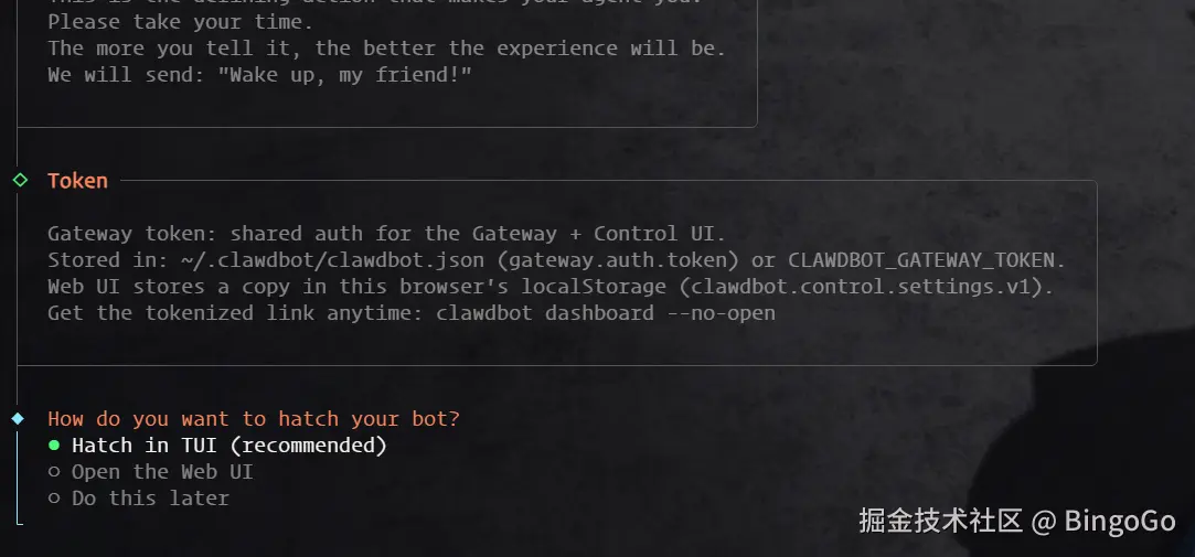 OpenClaw 钉钉教程 - 选择 TUI 终端界面