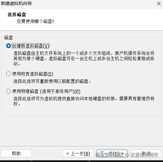 磁盘选择：创建新虚拟磁盘