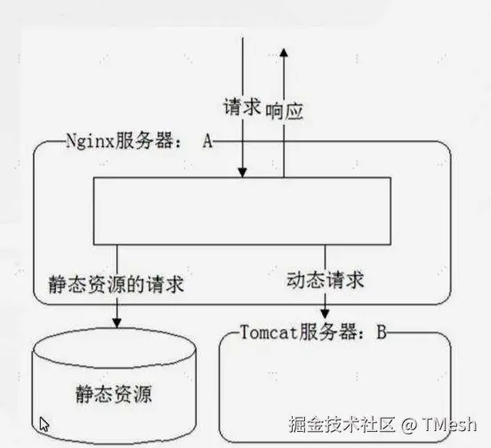 [Nginx的动静分离.png]