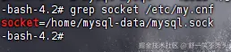 image-20240919230301622