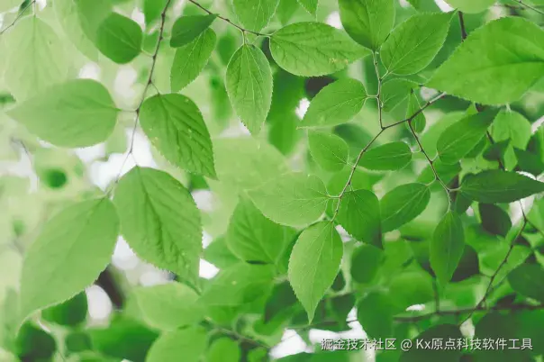 安装帮助-如何下载软件 配图 1