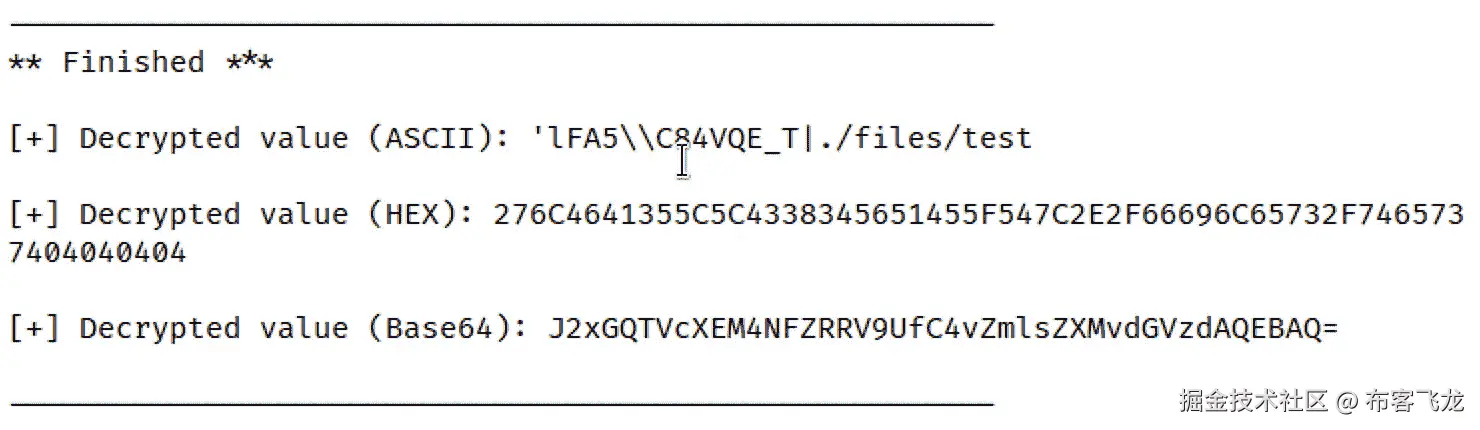图 6.21 – 不同格式的解密数据