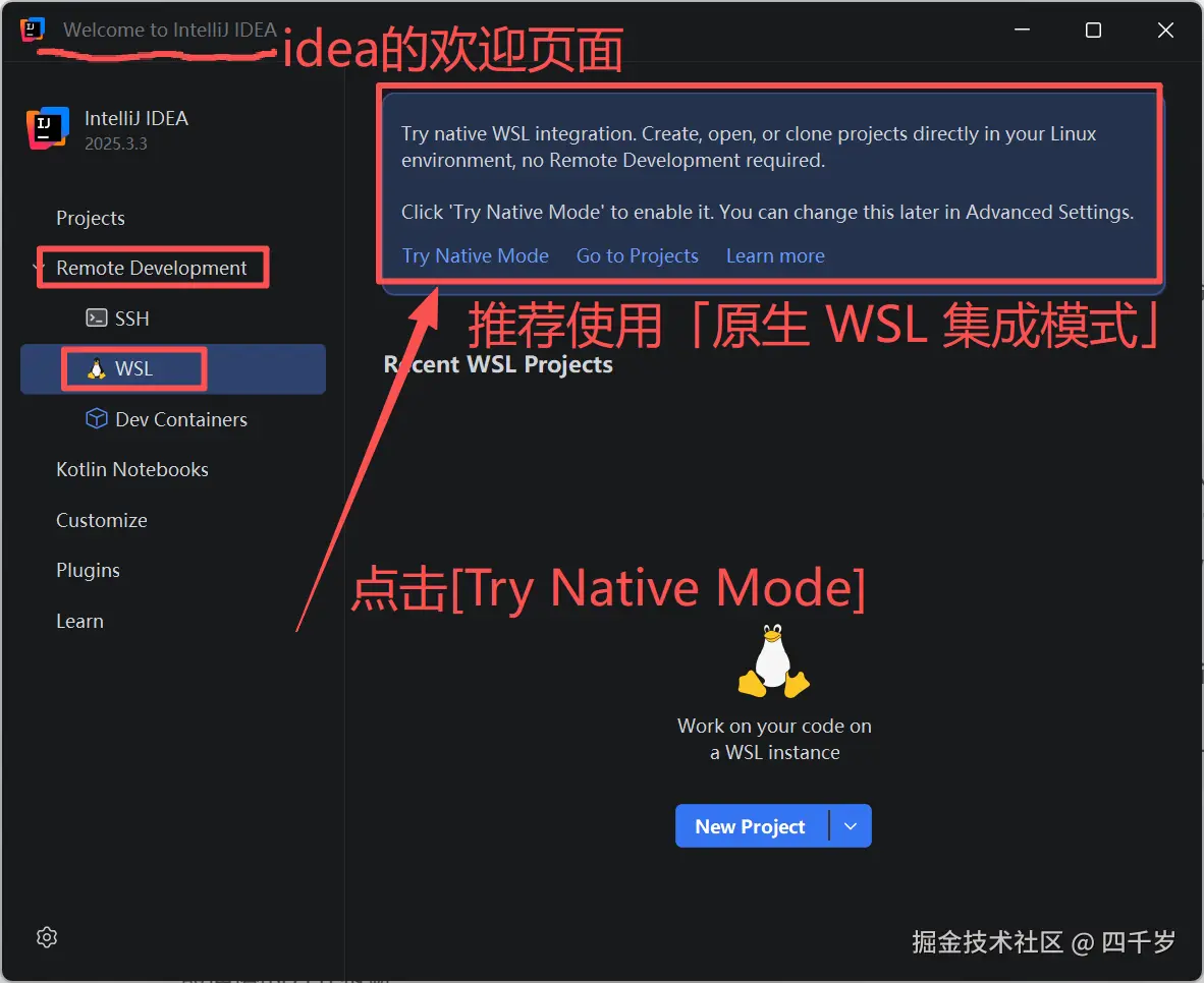IDEA推荐使用原生WSL集成模式