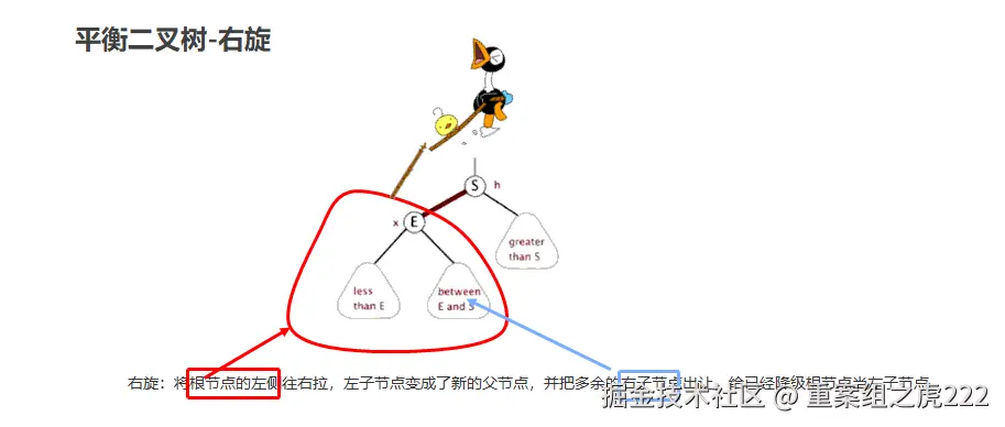 06_平衡二叉树右旋02