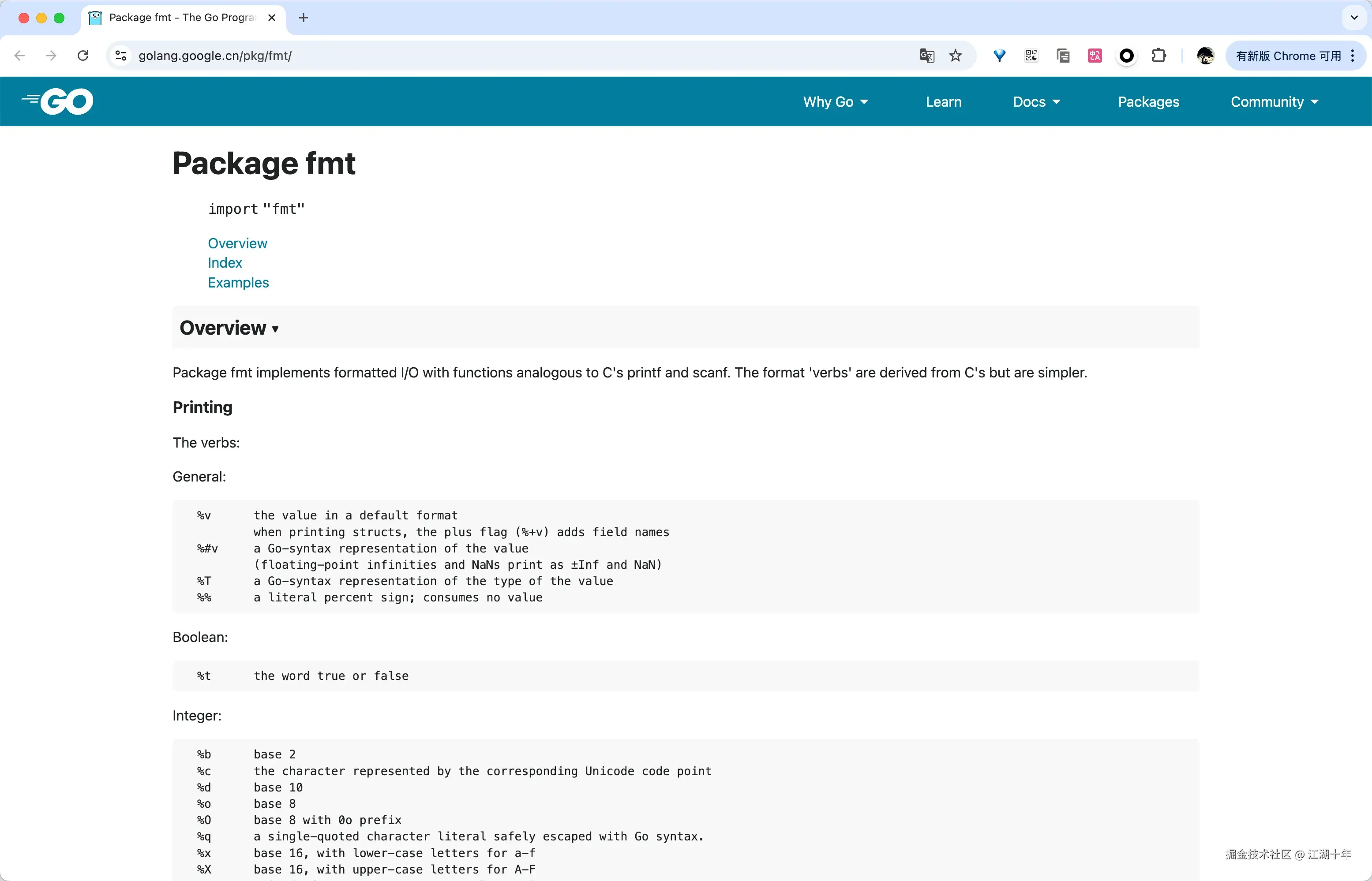 golang-google-fmt.png