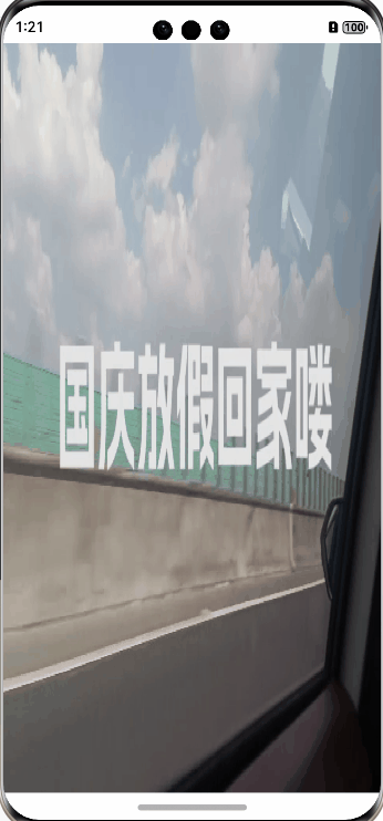 video-example2.gif