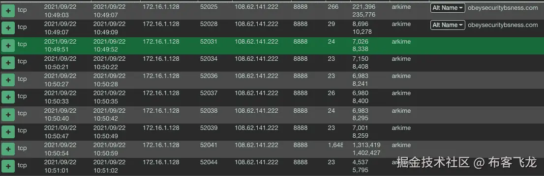 图 15.31 – Arkime 中的 Cobalt Strike 连接