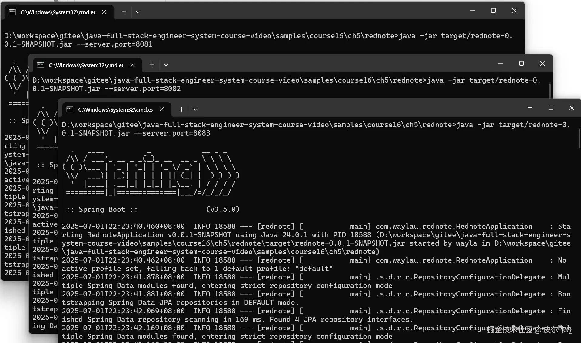 图5-1 指定端口方式运行应用
