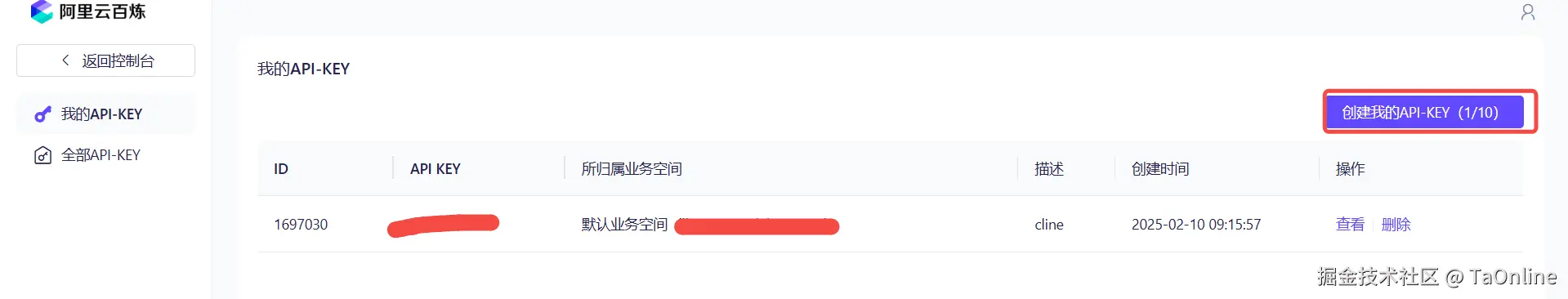 API Key 创建成功