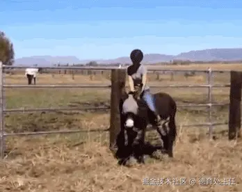 172.gif