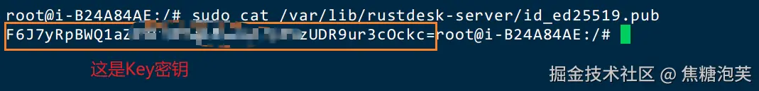 image-20240823171608054