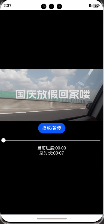 video-example4.gif