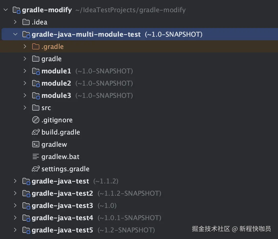 show-version-project-view
