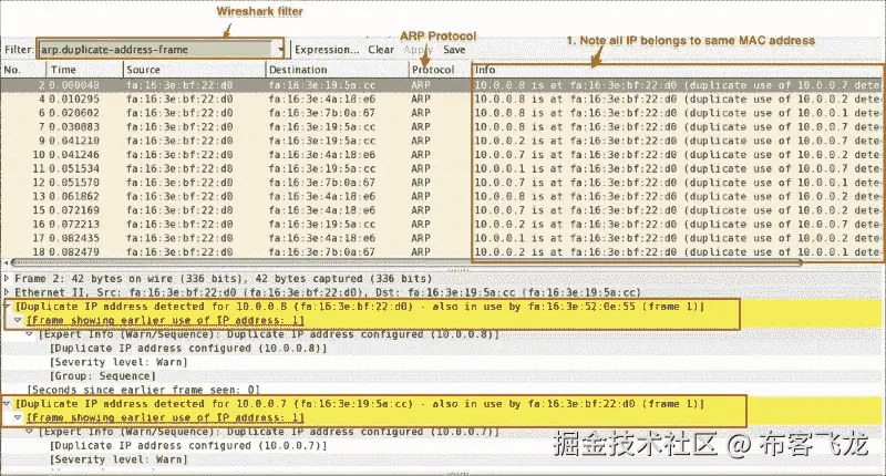 ARP duplicate IP detection