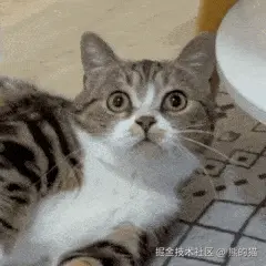85B64B42.gif