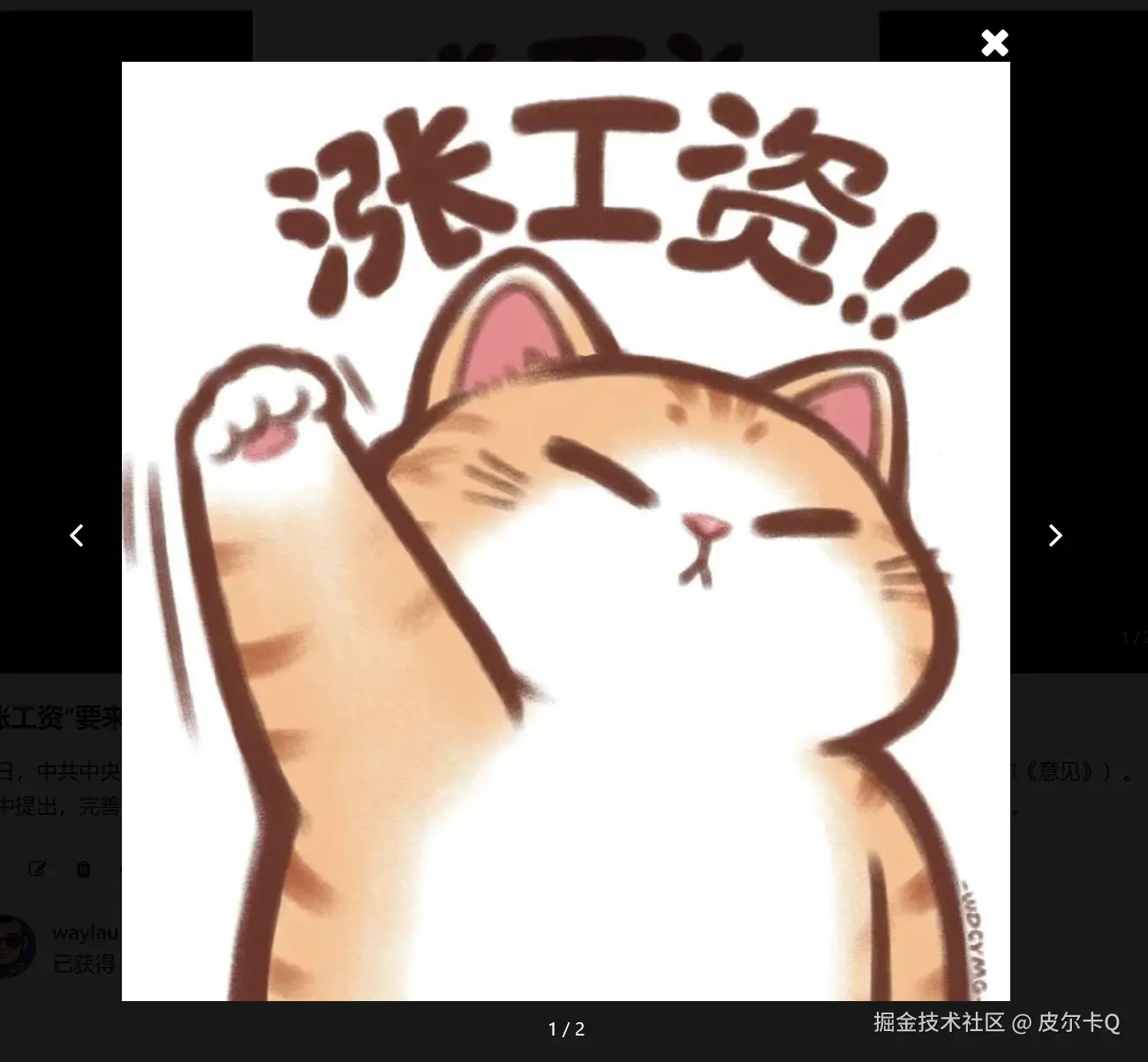 图9-6 放大预览图片1