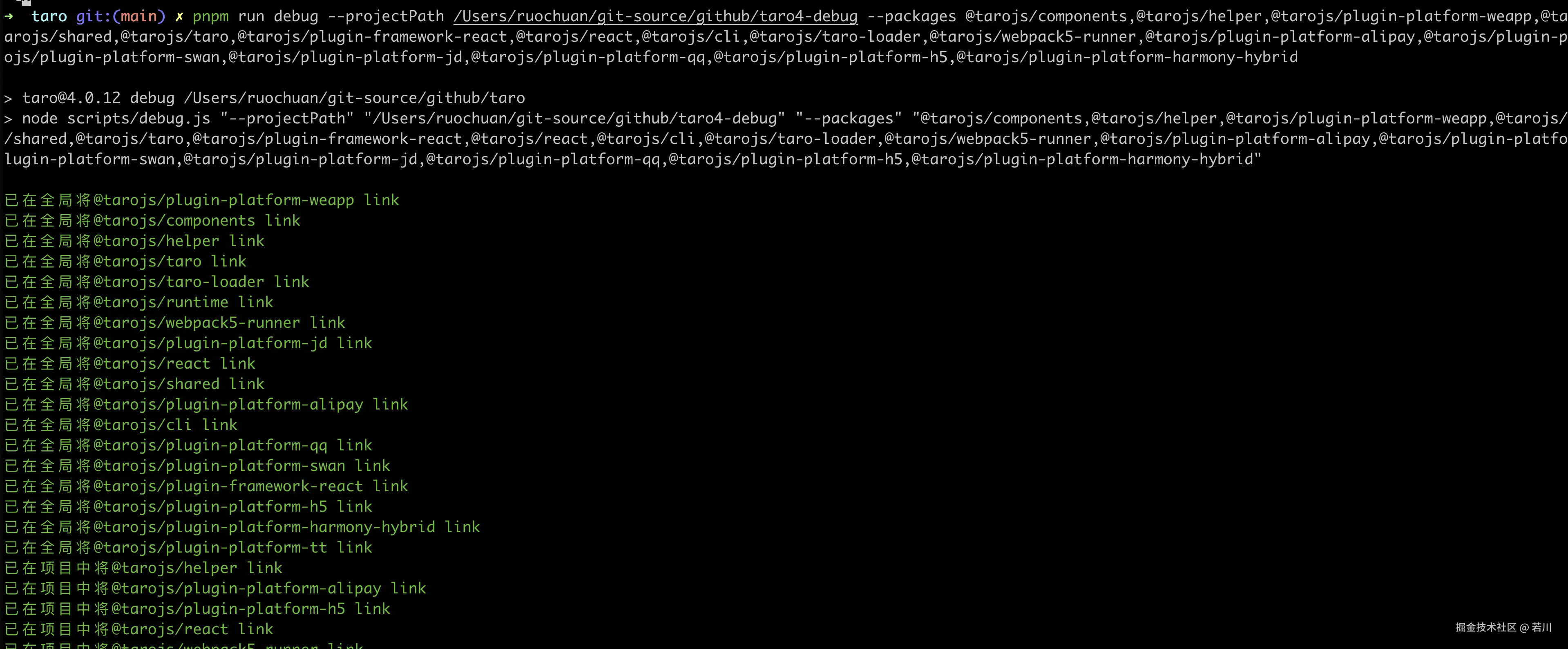 pnpm-run-debug-terminal.png