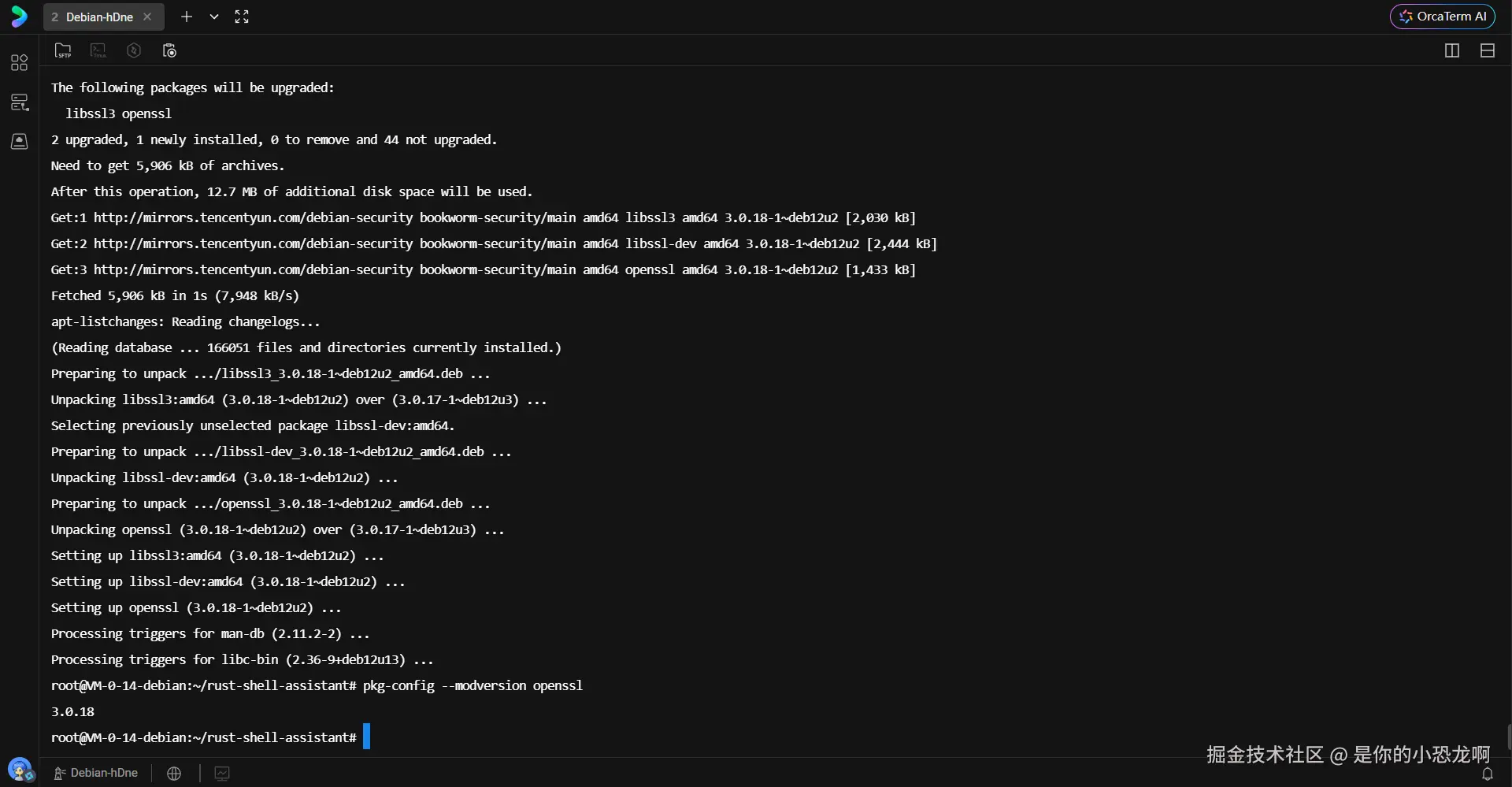OpenSSL 开发库安装完成及版本验证截图
