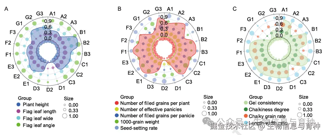 图5 审定水稻品种在株型（A）、穗型（B）和稻米品质指标（C）等主要农艺性状上发生了显著变化