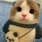 屏幕截图 2024-12-20 001309.png