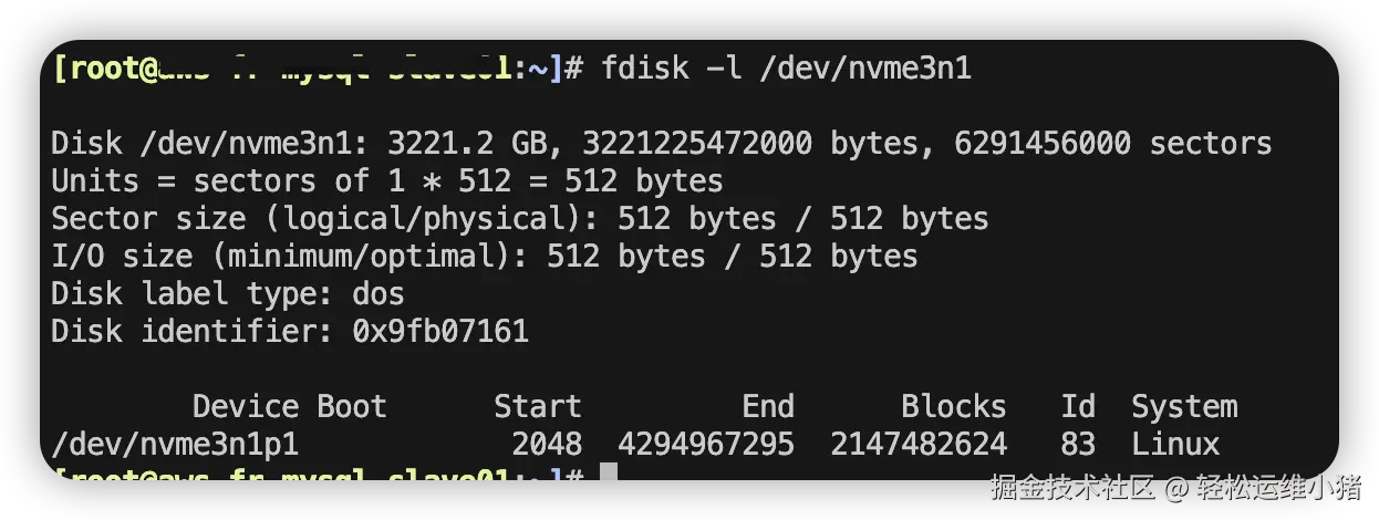 fdisk 查看 nvme3n1 分区