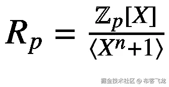 {R}_p=\frac{{\mathbb{Z}}_p\left[X\right]}{\left\langle {X}^n+1\right\rangle }