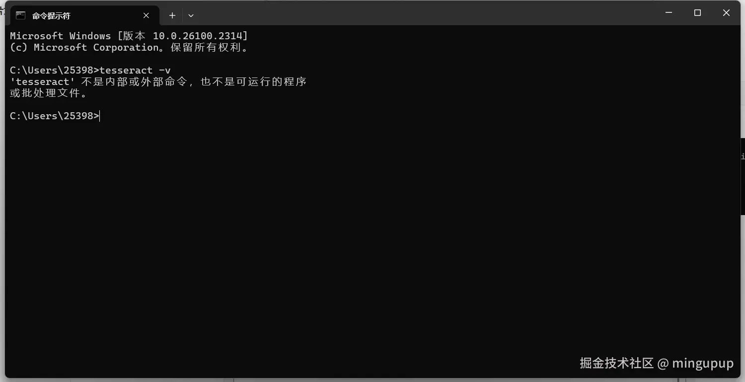 image-20241205155544017