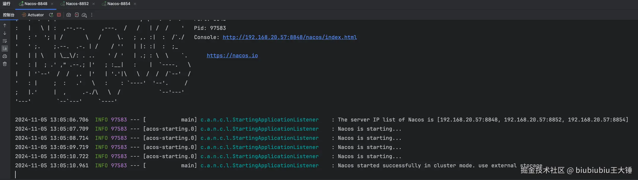 image-20241105131202624