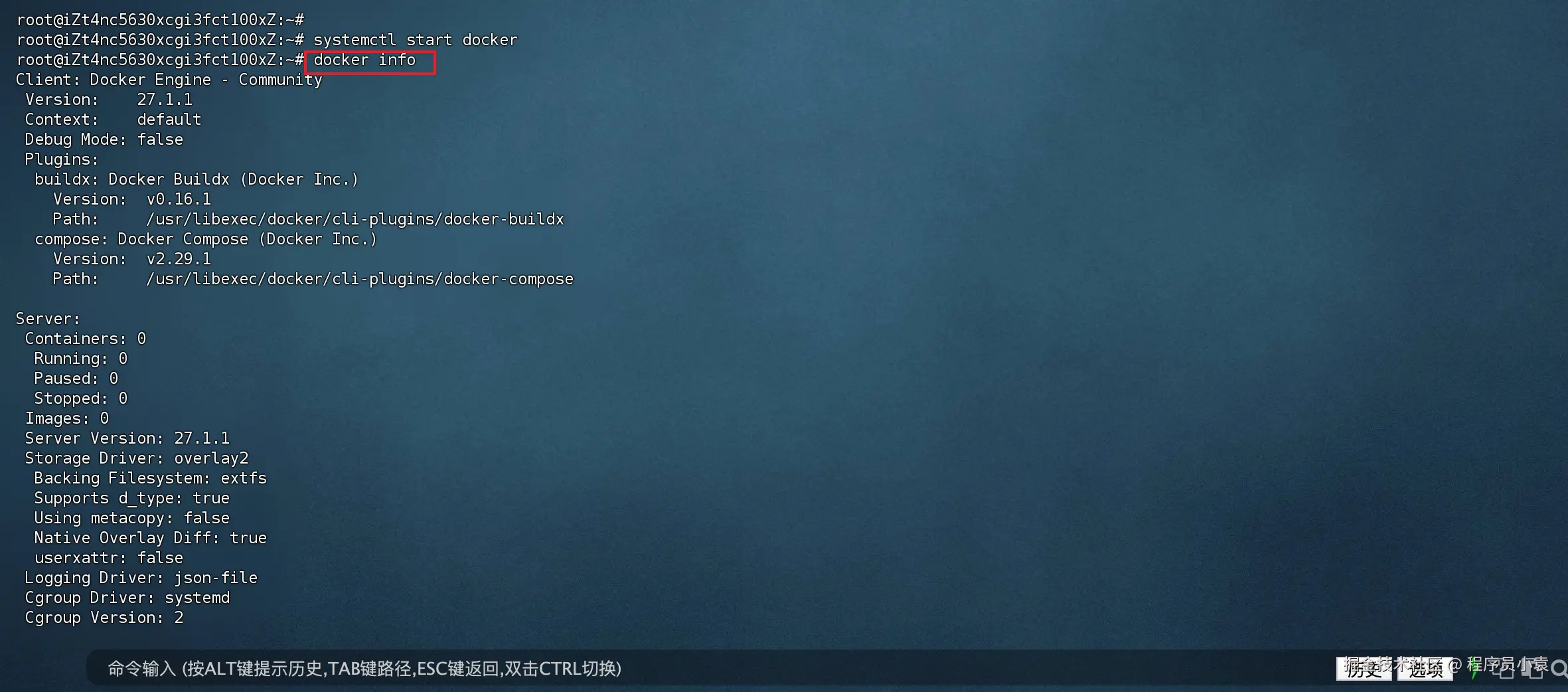docker-info.png
